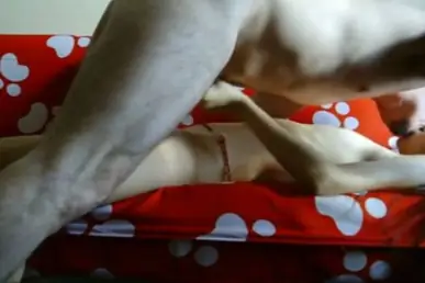 ABG Bispak Jakarta Live Hotel Bintang Lima Semua Lumer